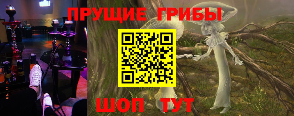 Псилоцибиновые грибы Cubensis Благовещенск